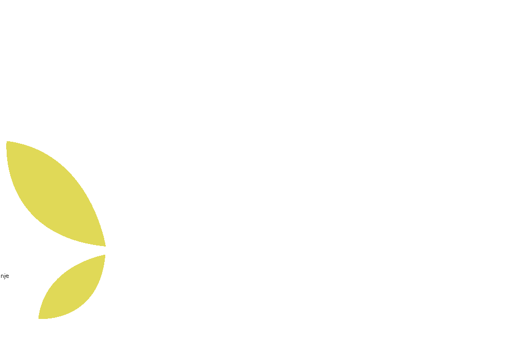Sublogo bruiloft organisator / weddingplanner Spicy Lemon Events,